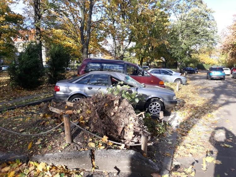Tragiczny bilans wichur we Wrocławiu. Nie żyją 3 osoby