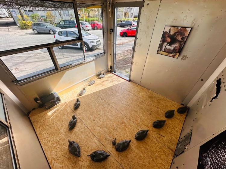 Oto najmniejsza galeria we Wrocławiu. Powstała... w kiosku!