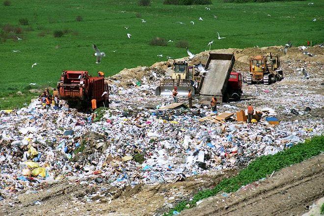 Zamienią dolnośląskie wysypiska śmieci w lawendowe wzgórza