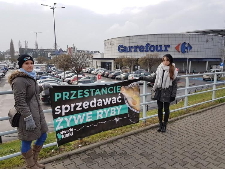 Wrocław: protesty przeciwko sprzedaży żywych karpi [ZDJĘCIA]