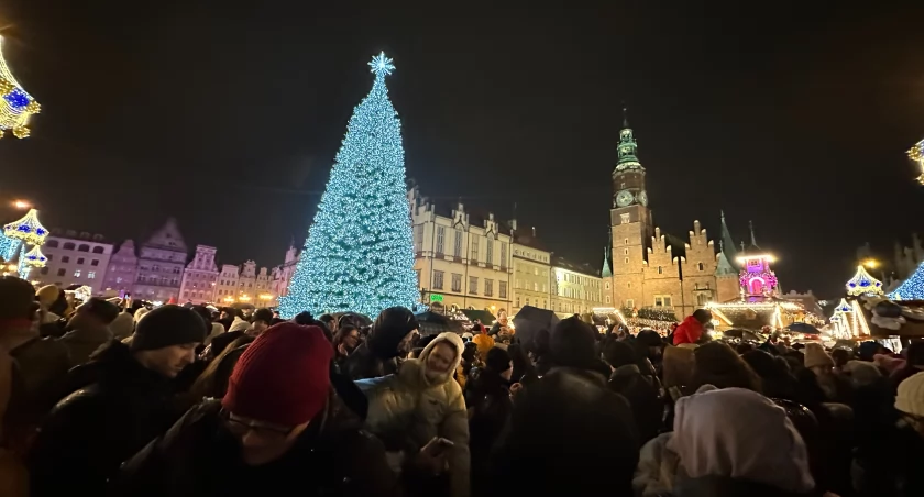 Wrocław: Choinka na Rynku już świeci. Zobacz, jak wygląda!