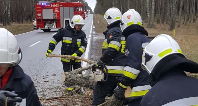 Nad Polskę nadciąga potężna wichura. Będzie przewracała drzewa i zrywała dachy