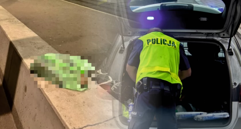 Makabryczne odkrycie we Wrocławiu. Dziewczynki znalazły na przystanku martwe zwierzę w reklamówce