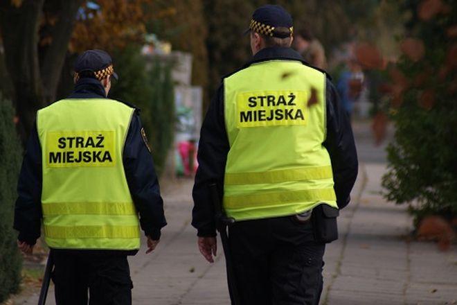 W rejonie wrocławskich cmentarzy zaroi się od strażników miejskich