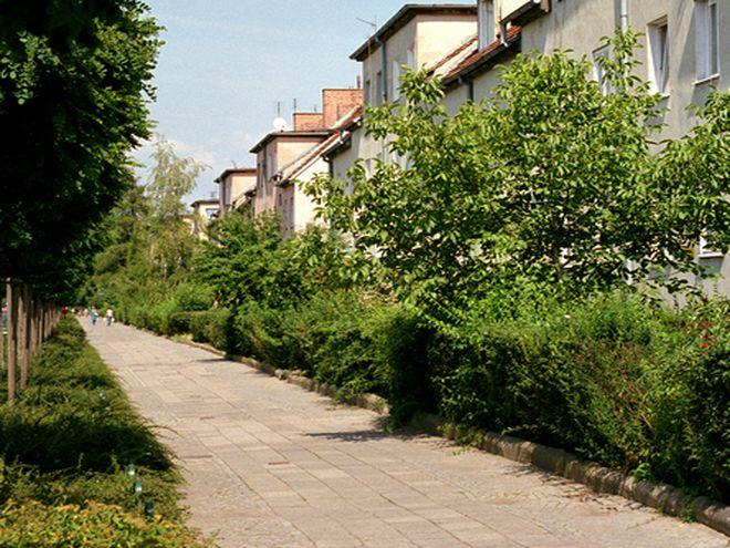 Budują chodnik na jednej z ulic Wielkiej Wyspy. Utrudnienia potrwają aż do końca wakacji