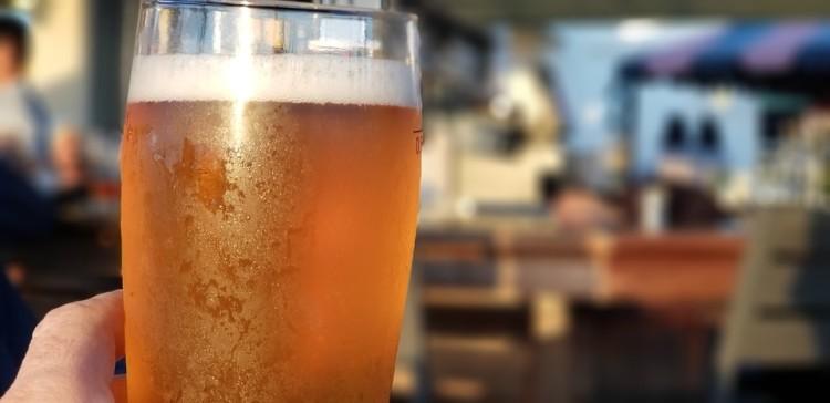 Weekendowa akcja wrocławskich pubów. Część zysku przeznaczą na ochronę zwierząt [LISTA MIEJSC]