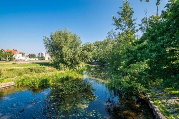 Wkrótce rozpocznie się rewitalizacja nabrzeży Oławy