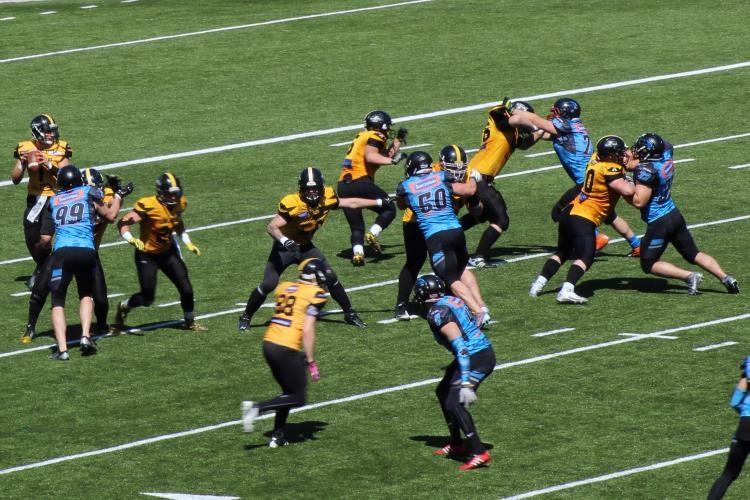 Panthers nie zagrają w reprezentacji Polski, Patryk Matkowski zawieszony!