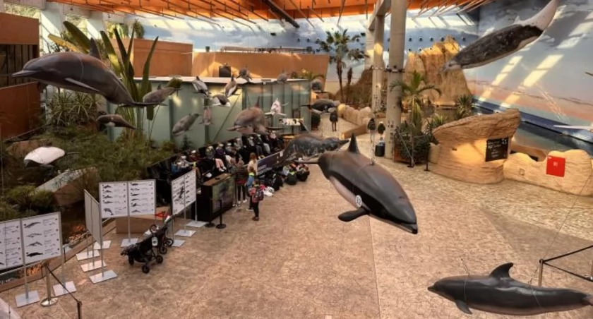 Wrocław: Bilety do zoo droższe. Największe podwyżki dla płacących podatki w mieście