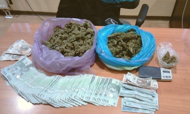 Policja: ponad 2800 porcji marihuany nie trafi na ulice Wrocławia 