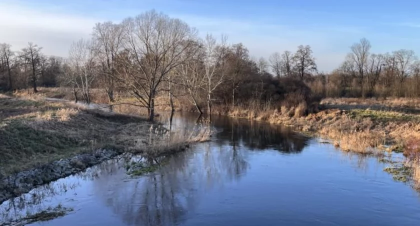 Widawa przekroczyła stan ostrzegawczy. Jest alert hydrologów