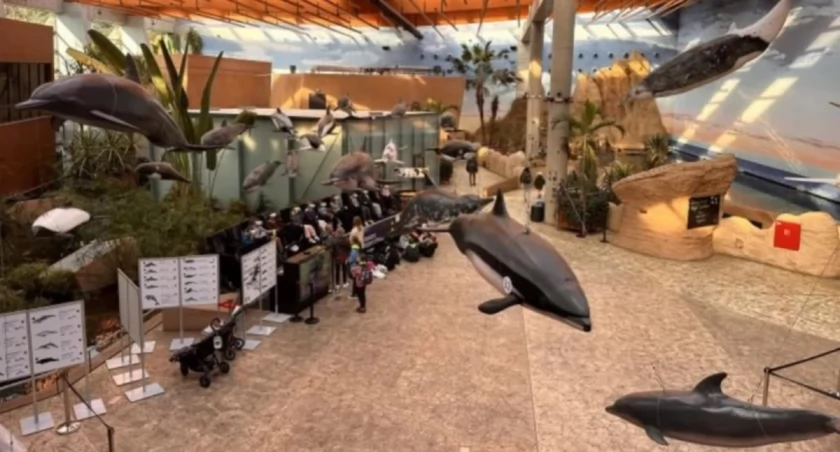 W zoo promocja na ferie. Możesz zwiedzać przez dwa dni w cenie jednego