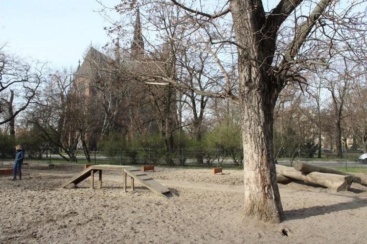 Będzie nowy psi wybieg we Wrocławiu. Gdzie powstanie?