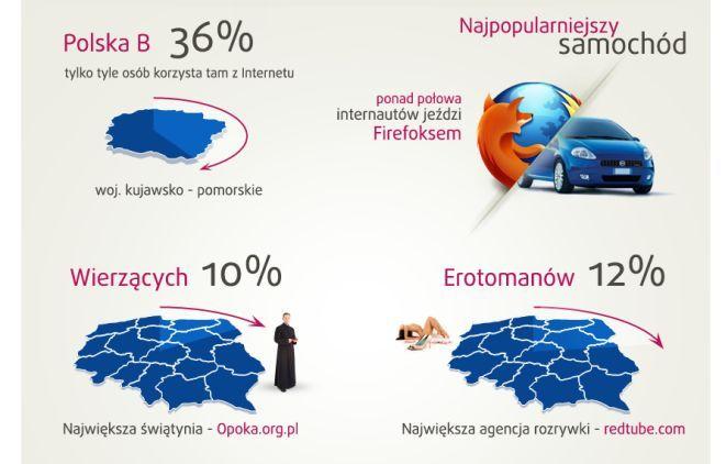Głosowanie na infografikę o polskim Internecie