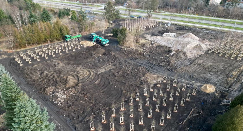 Tak powstaje nowy wrocławski park. Będzie wielki jak dwa i pół Rynku
