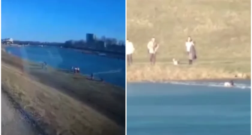 Dramatyczne sceny na Odrze we Wrocławiu. Zobacz nagranie! Lód załamał się pod człowiekiem, ratującym psa! 