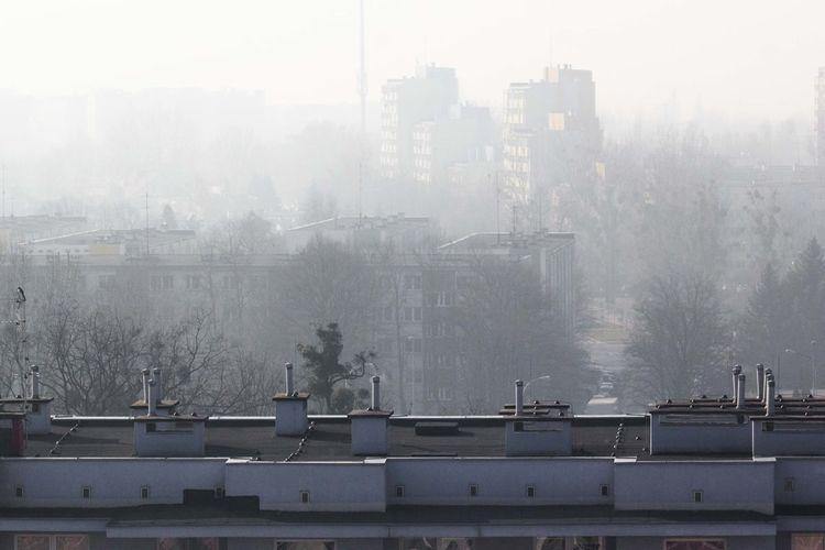 Wrocław i Wuhan. Tu powietrze jest dziś najgorsze na świecie!