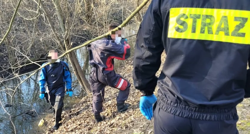 Tragedia w parku we Wrocławiu. W wodzie w zaroślach znaleźli martwego człowieka
