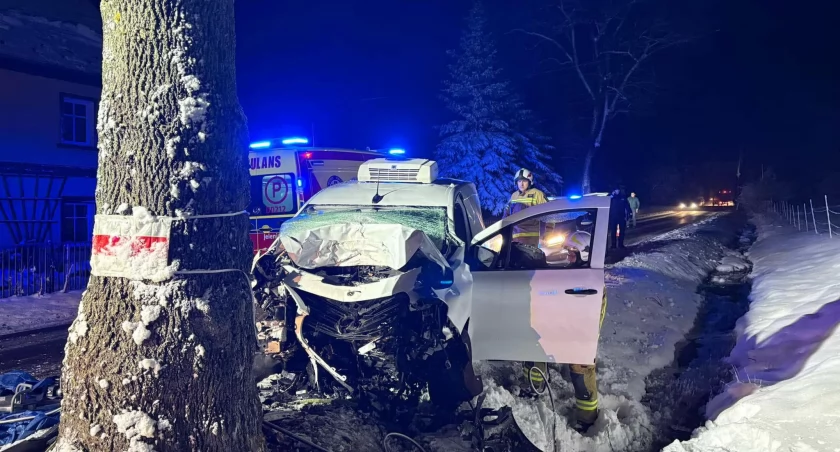 Tragiczny wypadek na Dolnym Śląsku. Nie żyje dostawca cateringu, który wjechał w drzewo