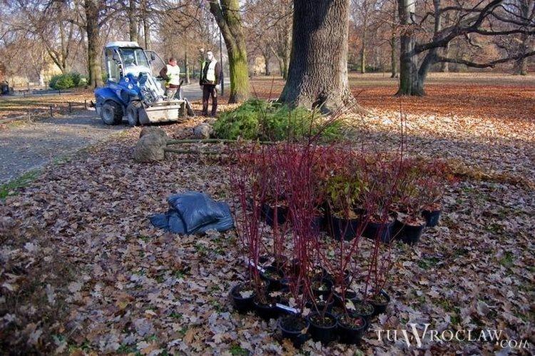 Wrocław: Eksperci z Manchesteru pomogą przeciwdziałać zmianom klimatu