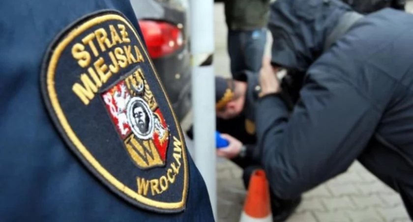 Wrocław: Te miejsca codziennie kontroluje straż miejska. Nie ma dnia bez mandatu!