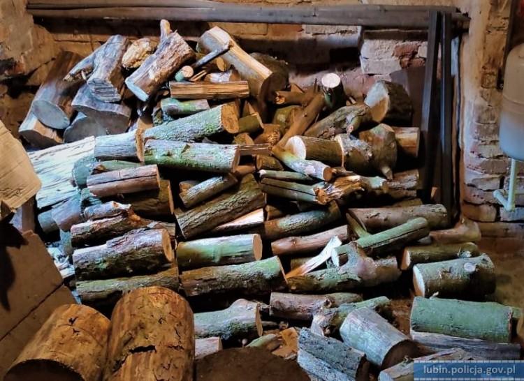 Pod topór poszło blisko 200 drzew. To była nielegalna wycinka