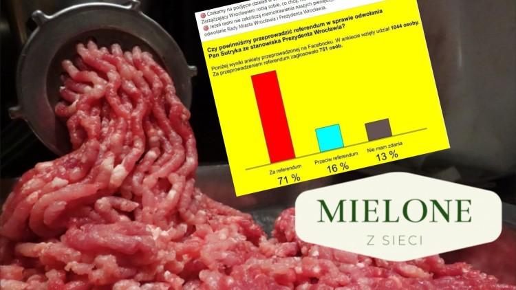 MIELONE Z SIECI Mało na szczury, dużo za referendum