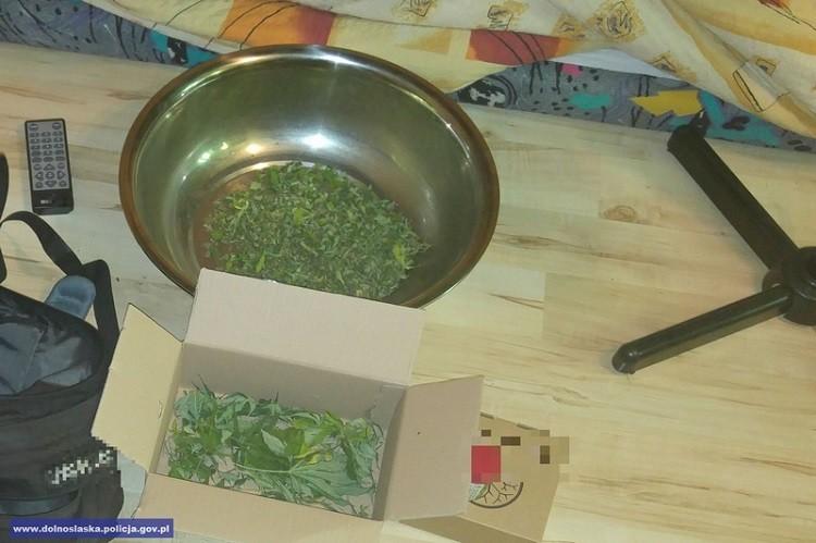 Podejrzany o wprowadzenie do obrotu 4 kilogramów marihuany w areszcie