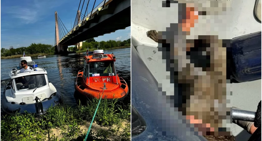 Alarm na Odrze we Wrocławiu! Ludzie zobaczyli w rzece ludzkie ciało