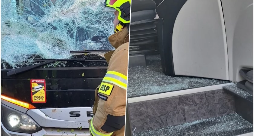 Wypadek na autostradzie A4. Drzewo runęło na autokar, kilkadziesiąt osób ewakuowanych