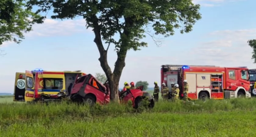 Tragiczny wypadek na Dolnym Śląsku. Bus owinął się o drzewo