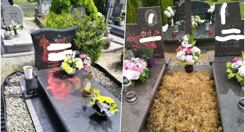Powiesili banery Trzaskowskiego, ktoś zniszczył im groby na cmentarzu. Szokujące sceny pod Wrocławiem