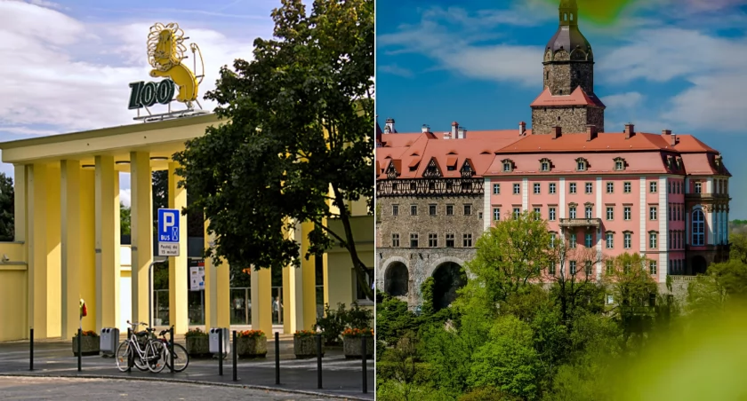 Darmowe wejście do zoo we Wrocławiu albo na zamek Książ. Jest tylko jeden warunek