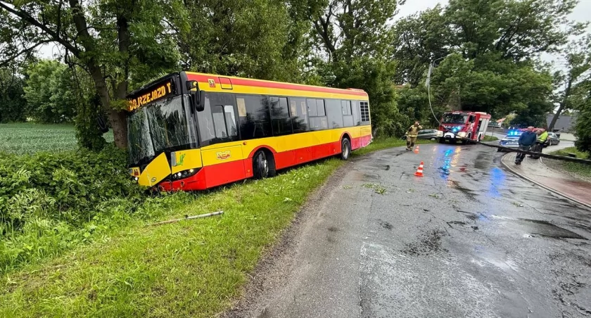 Autobus miejski rozbił się na drzewie. Wcześniej uszkodził słup energetyczny