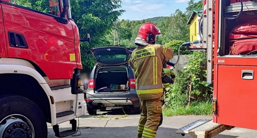 Śmierć mężczyzny pod kołami samochodu. Kierowca go nie widział
