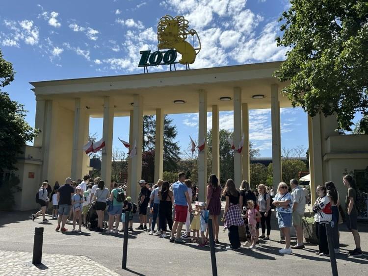 Jest konkurs na prezesa wrocławskiego zoo. Rzetelność nieobowiązkowa