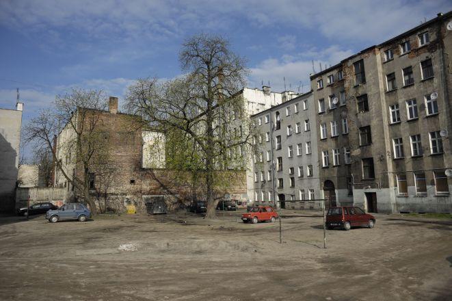 Warsztaty z rewitalizacji podwórka przy Ptasiej