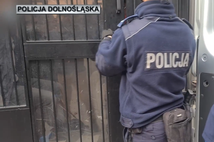 Wrocław: Nielegalni imigranci z Afganistanu wpadli na dworcu. Zobacz film z zatrzymania!