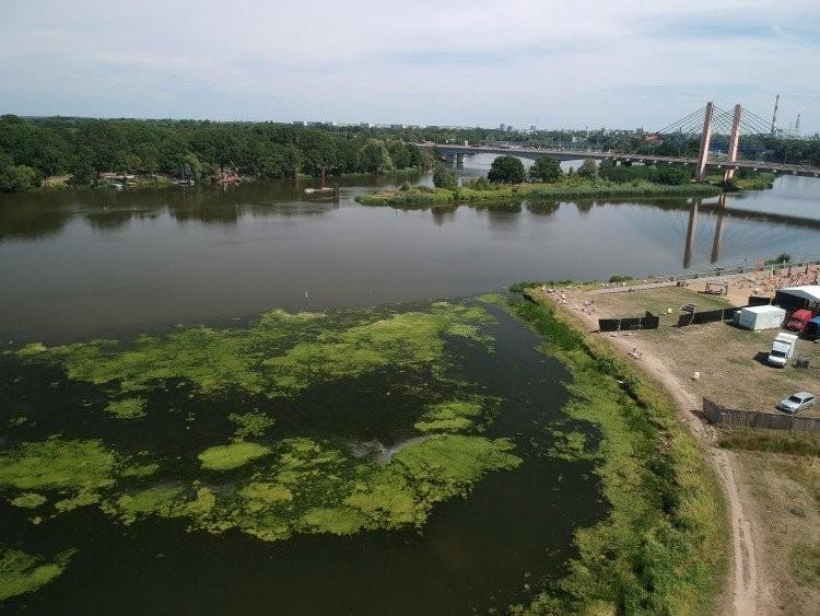 Rząd wysyła wojsko nad Odrę. Żołnierze będą usuwać zanieczyszczenia