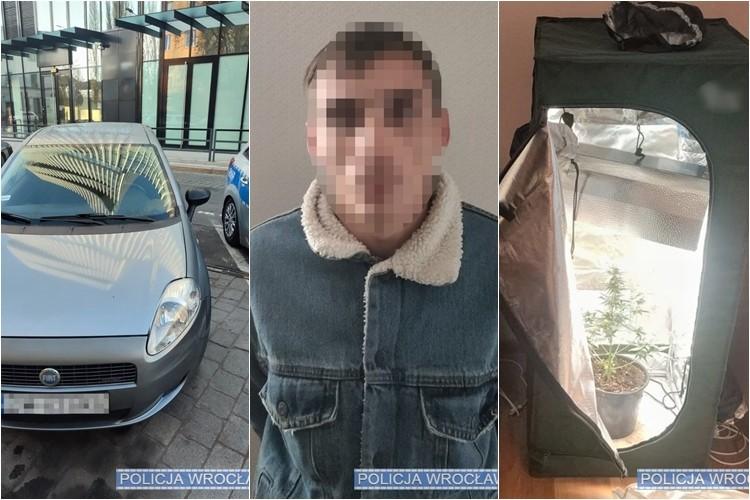 Jechał naćpany przez co wpadł z uprawą marihuany