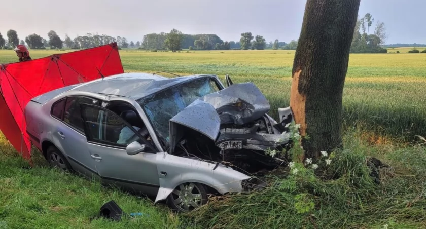 Tragiczny wypadek pod Wrocławiem. Auto roztrzaskało się na drzewie 