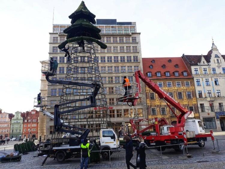 Na wrocławskim Rynku już budują choinkę. Będzie inna niż zwykle