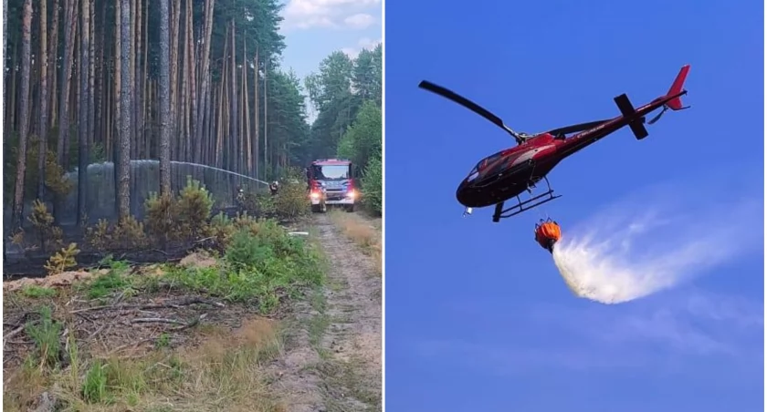Groźny pożar lasu na Dolnym Śląsku. Poderwano śmigłowiec gaśniczy