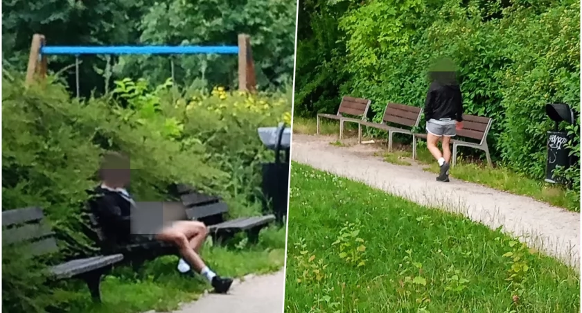 Zboczeniec grasuje we Wrocławiu. Obnaża się w parku, policja szuka nagrań