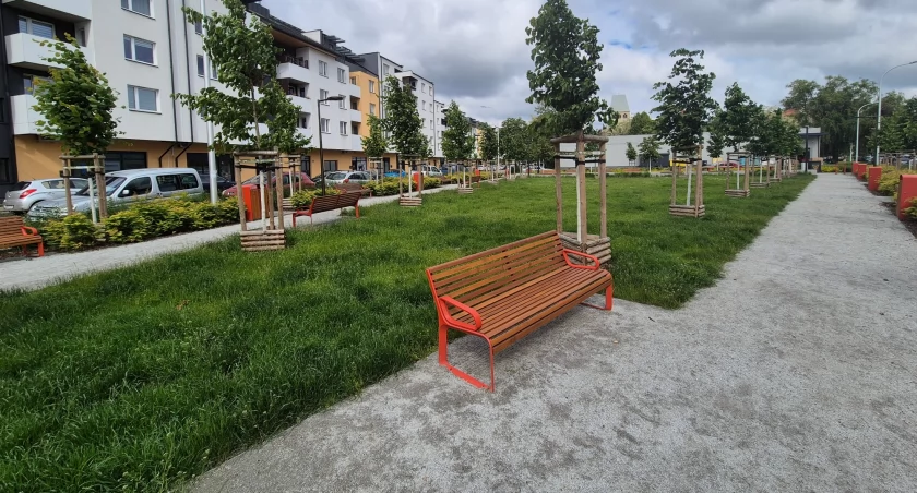 O czym marzą wrocławianie? O progach zwalniających, zieleni i rekreacji