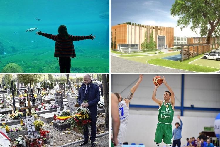 Zielony urząd, uhonorowanie weteranów i podwójne zwycięstwo Śląska [PODSUMOWANIE DNIA]