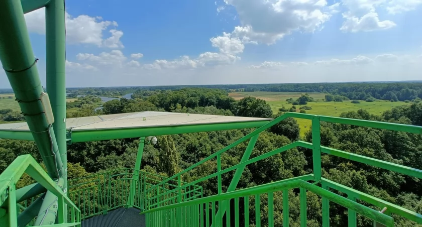Wieża widokowa rzut beretem od Wrocławia. Widoki zapierają dech w piersiach! Pomysł na wycieczkę rowerową 