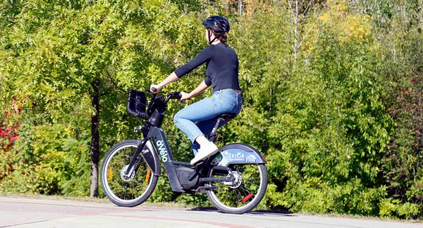 Wrocław: Straż miejska kręci bat na rowerzystów. Chce bardzo surowych kar