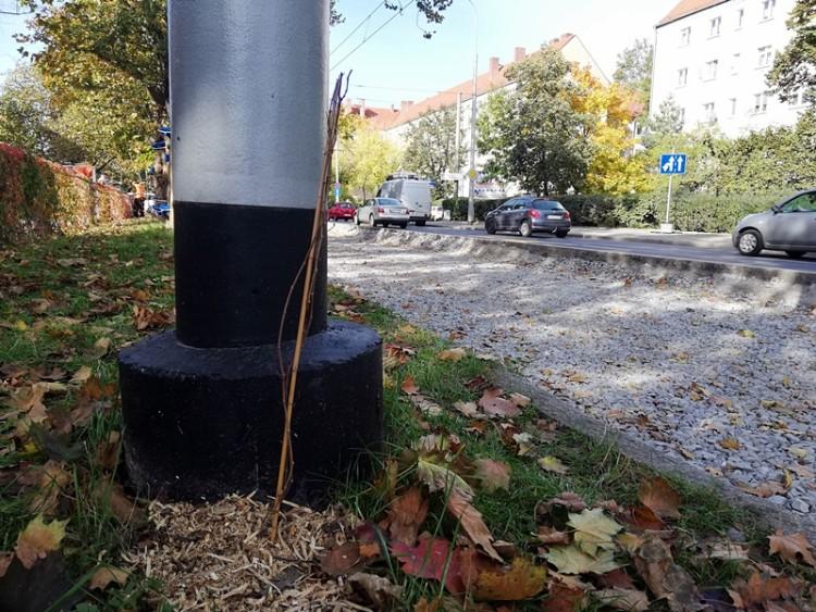 We Wrocławiu zielone nie tylko torowiska. Rusza projekt zielonych słupów trakcyjnych [ZDJĘCIA]