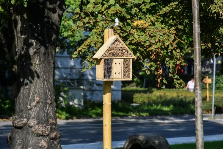 W centrum powstał skwer Wrocławianek. Wcześniej był tu parking, a jeszcze dawniej - cmentarz [ZDJĘCIA]